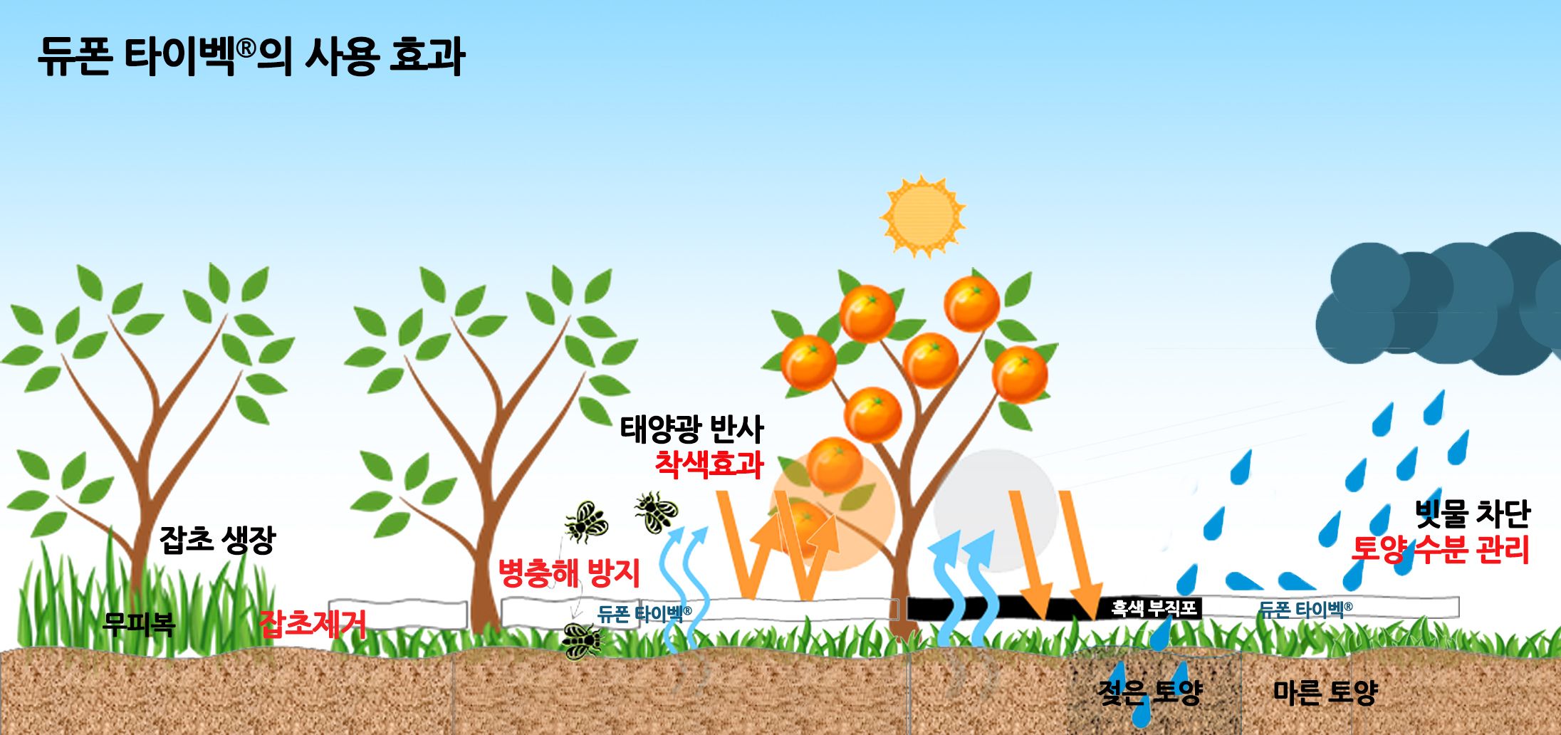 杜邦™ Tyvek® 反光地膜解决方案介绍单页